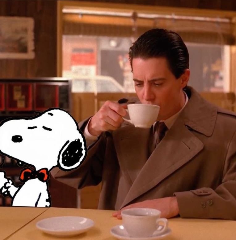 séries/programas favoritos