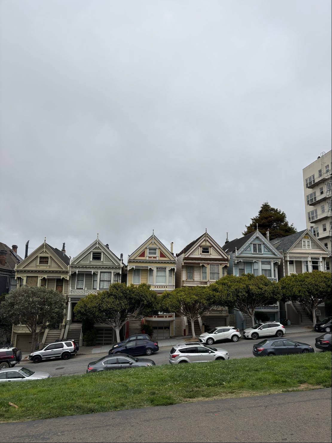 Painted Ladies