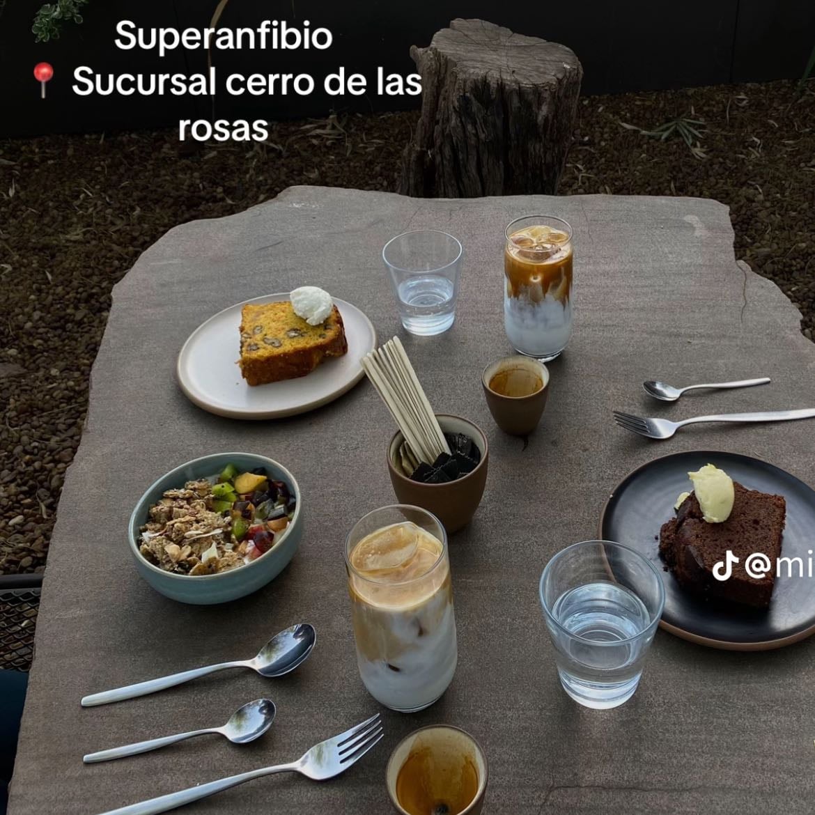 Superanfibio