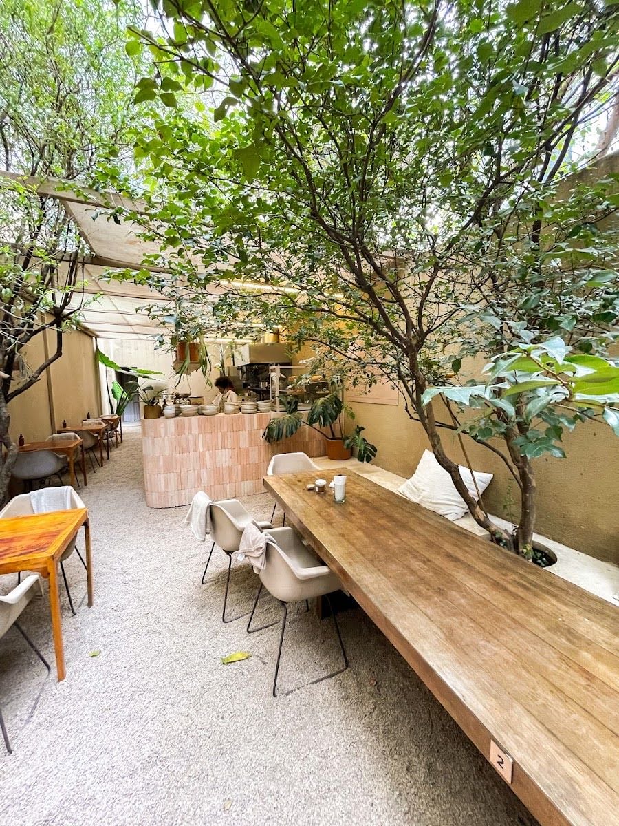 Dois Trópicos - Jardim, Yoga e Café