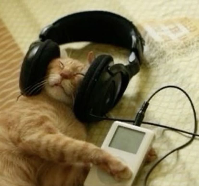 fav music of 2025