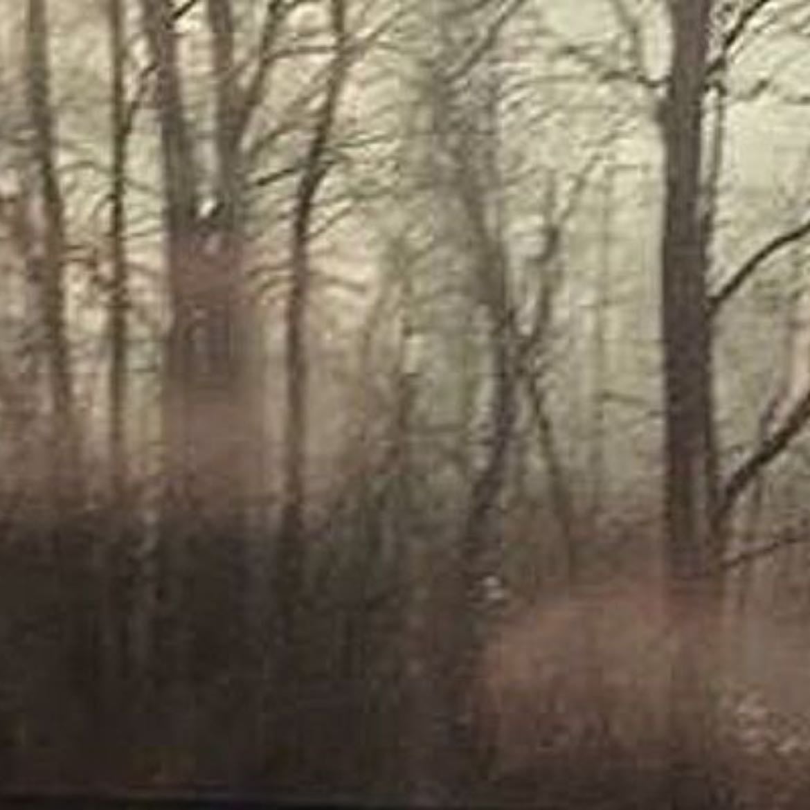 The Host - Stephenie Meyer · 2010