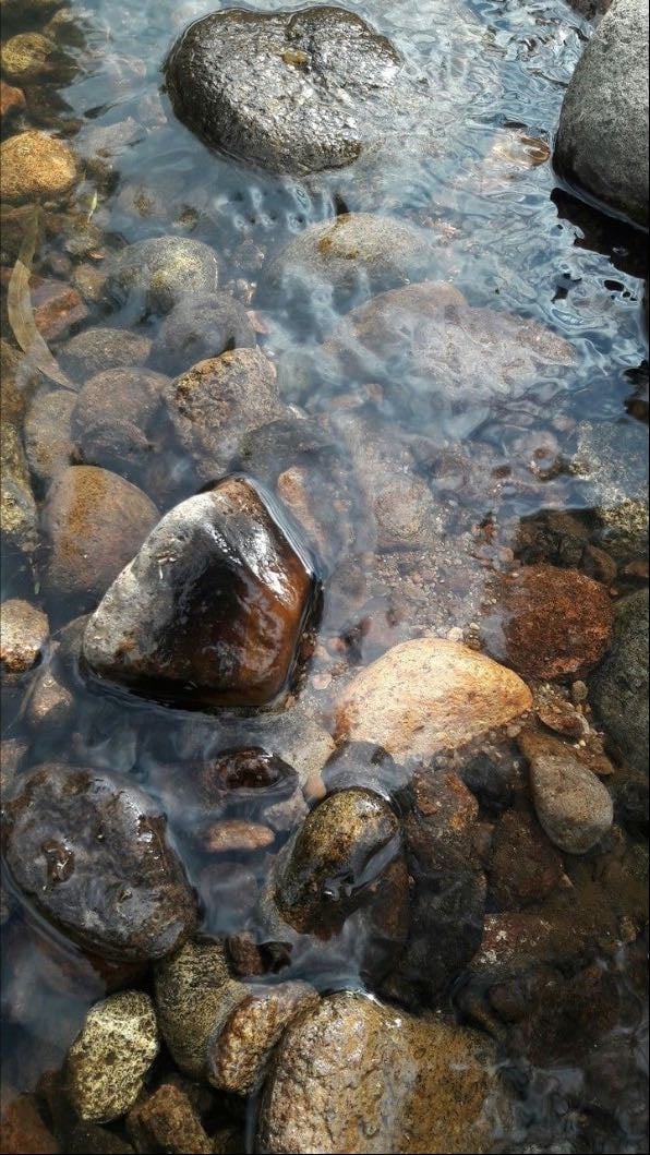 rocas
