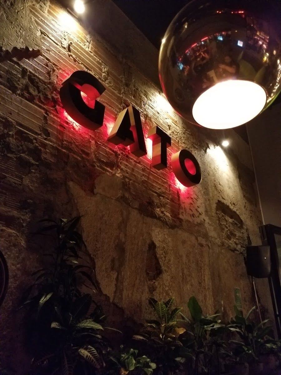 EL GATO