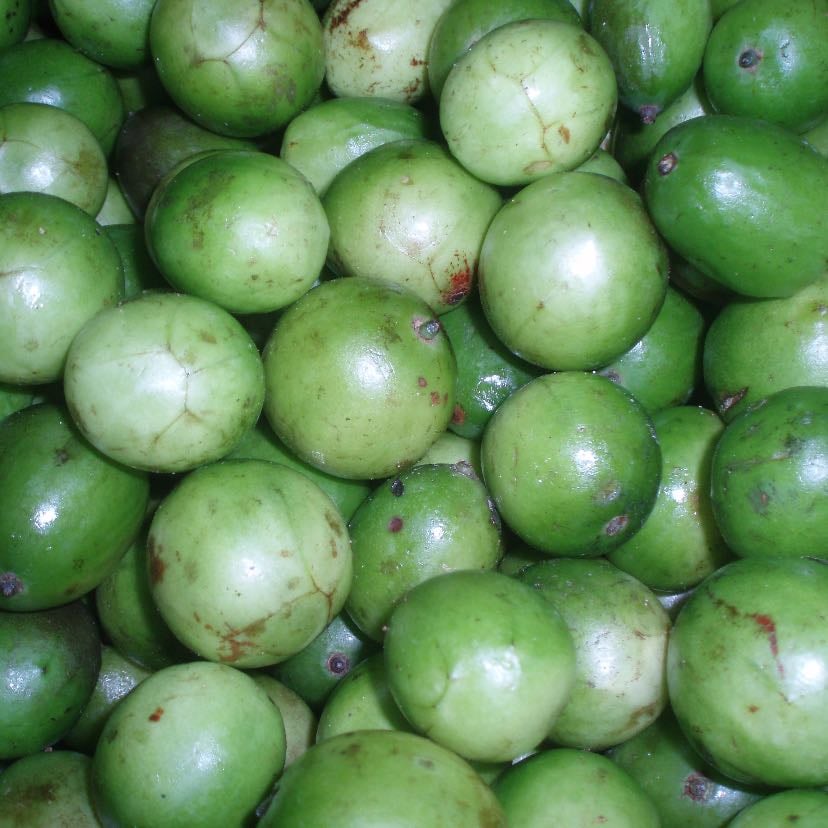 umbu