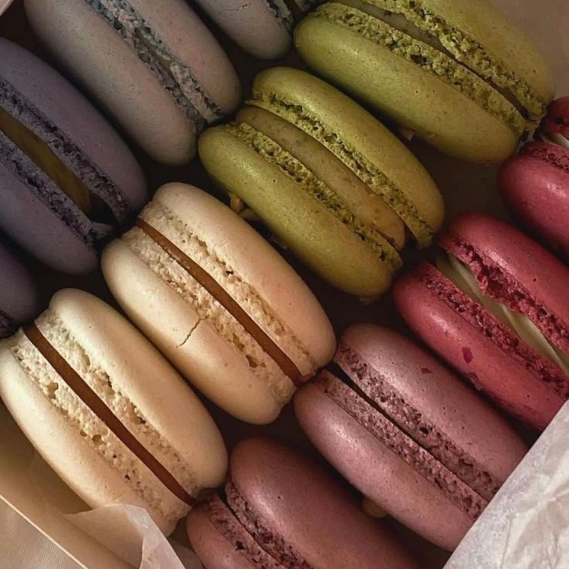 macarons