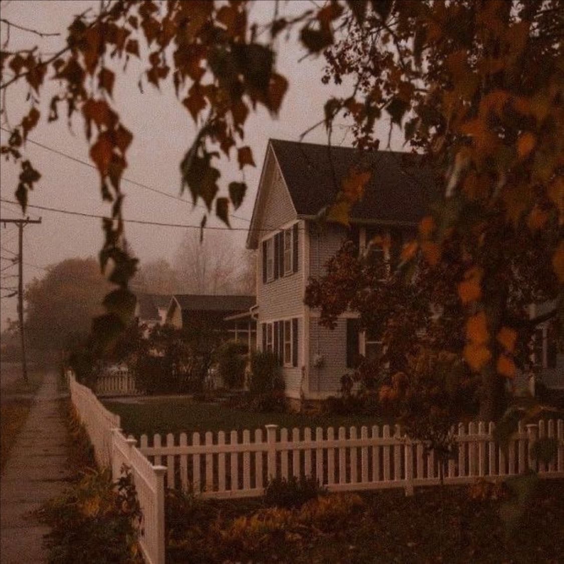 fall ✮ ₊˚
