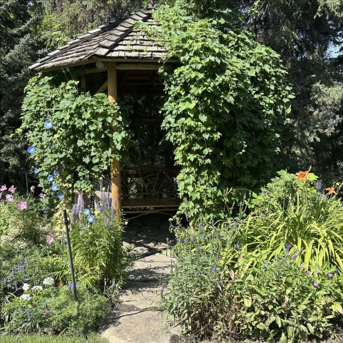 a gazebo surrounded by plants