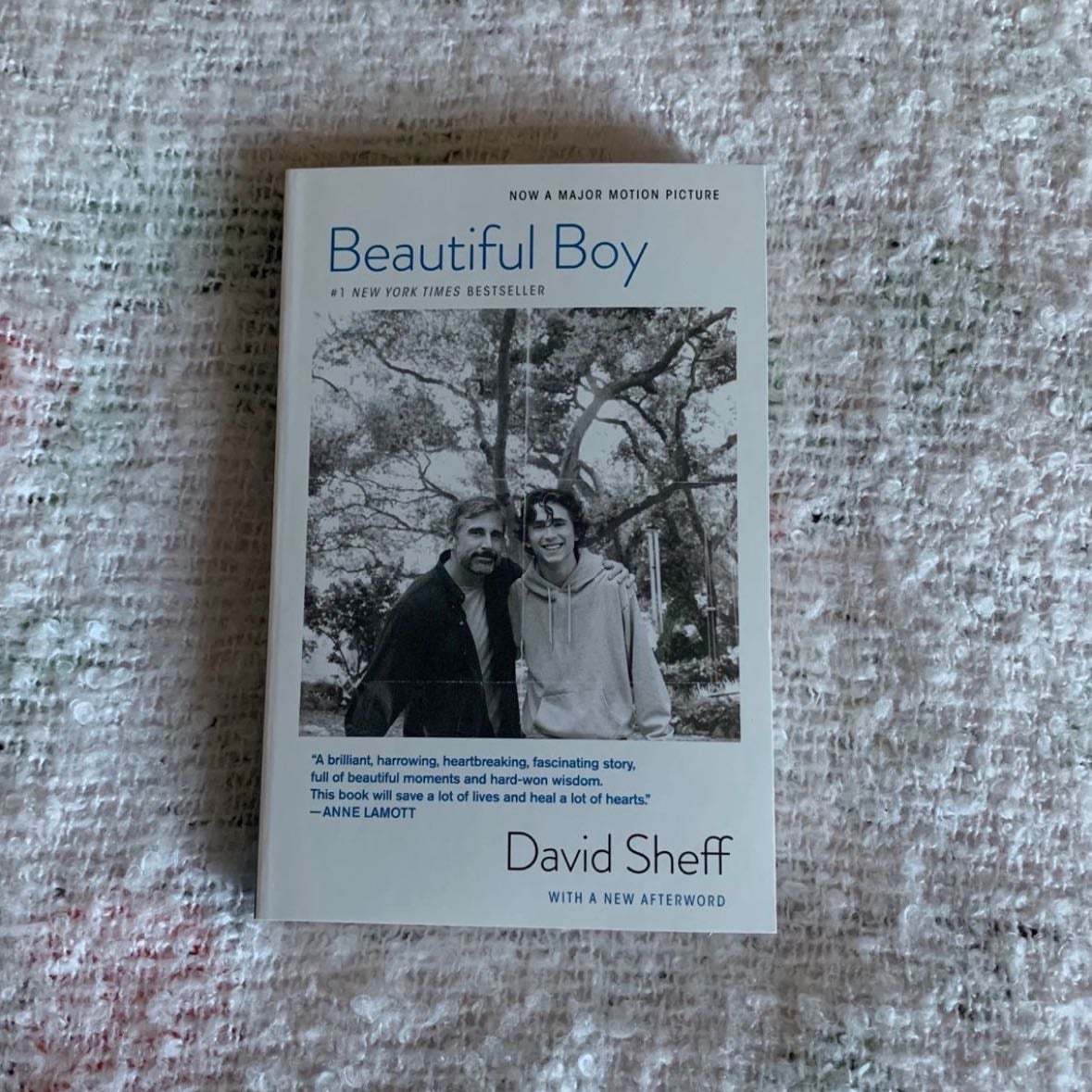 beautiful boy book