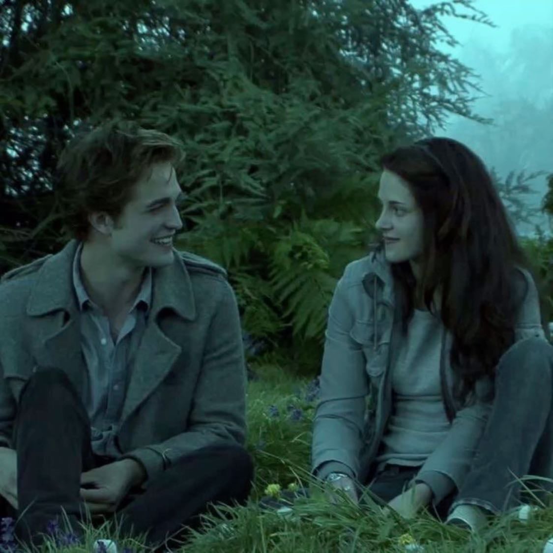 twilight ✮ ₊˚
