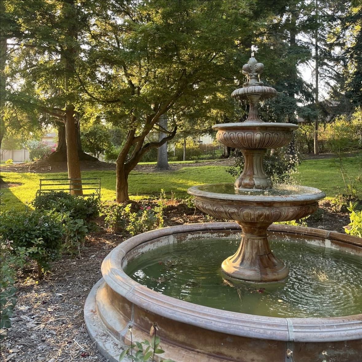 a garden with a fountain