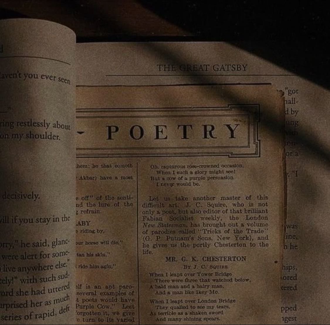 poetry ✮ ₊˚
