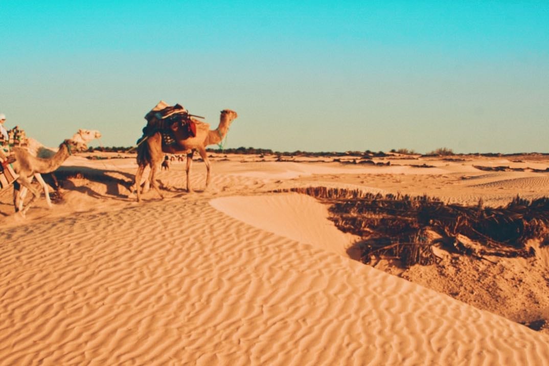 Tunisie