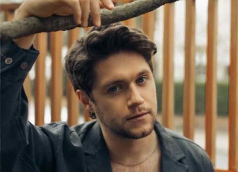 FAVOURITE NIALL HORAN SONGS!