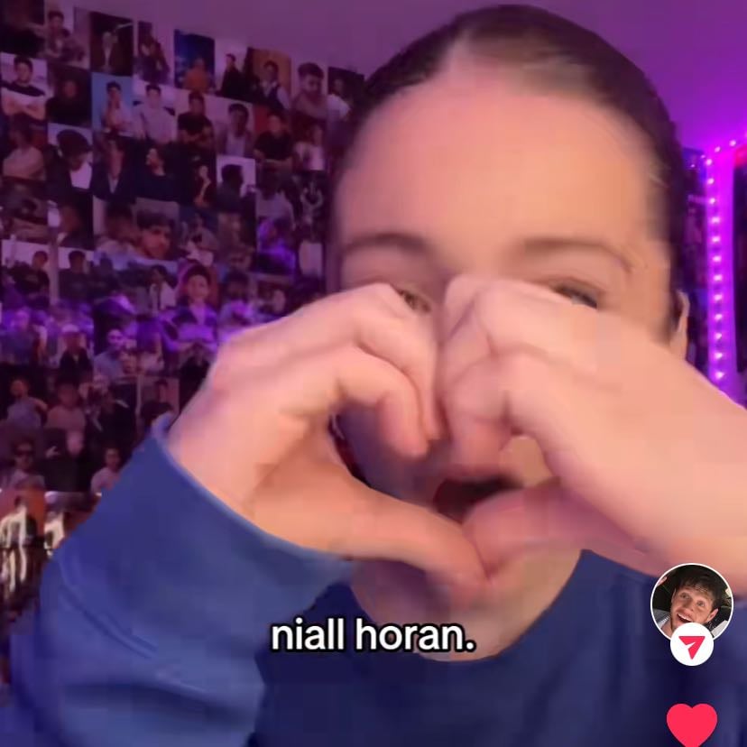 Wait they don’t love you like I love you (Niall Horan)
