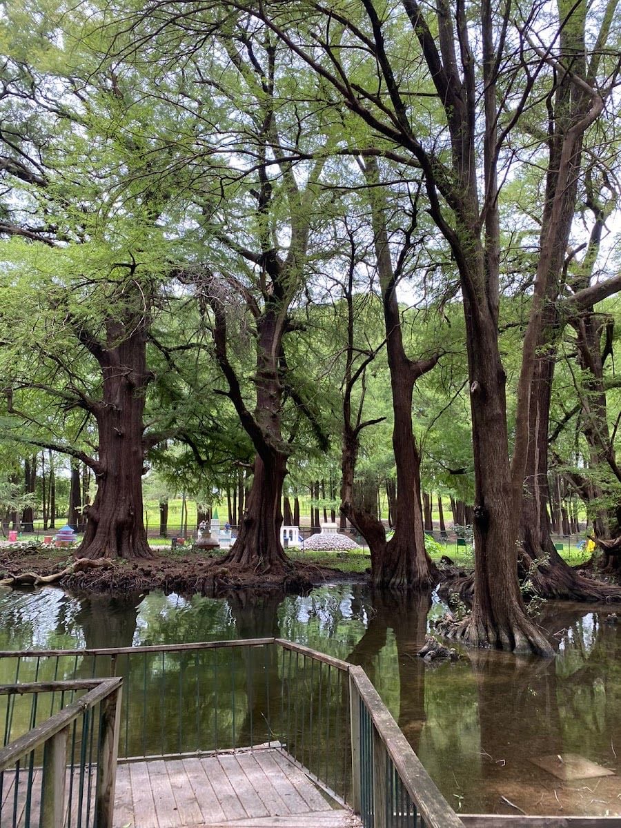 Parque El Sabinal - 1 hora de mty