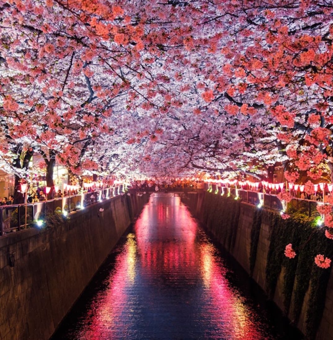 Bucket list