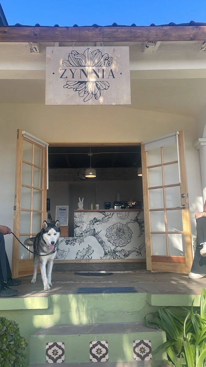 Zynnia Café
