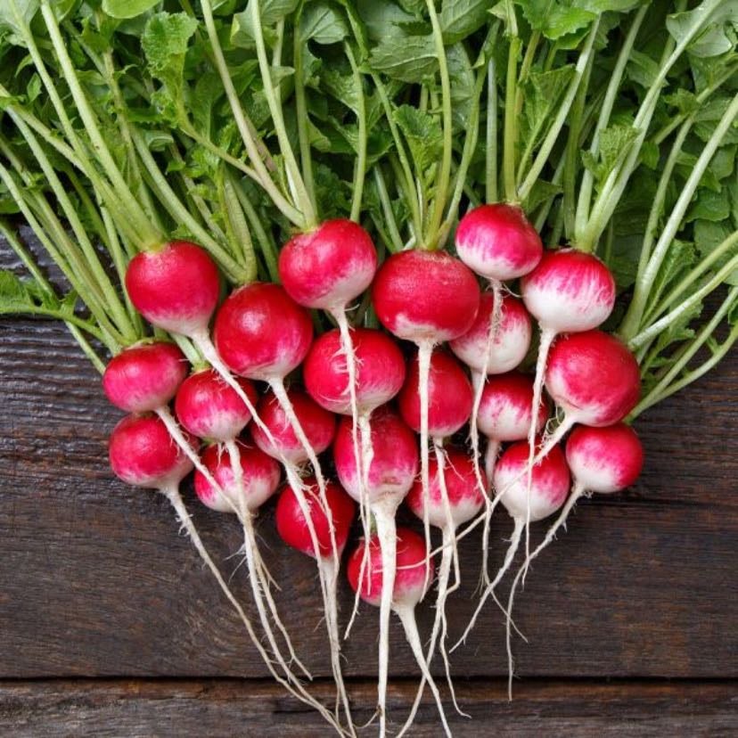 radish