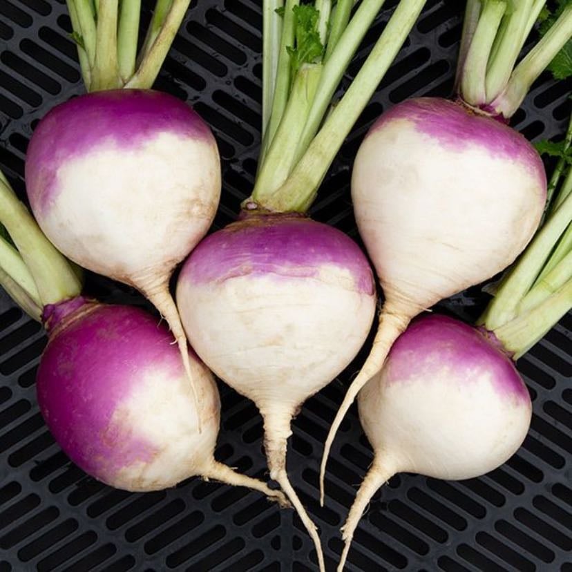 turnip