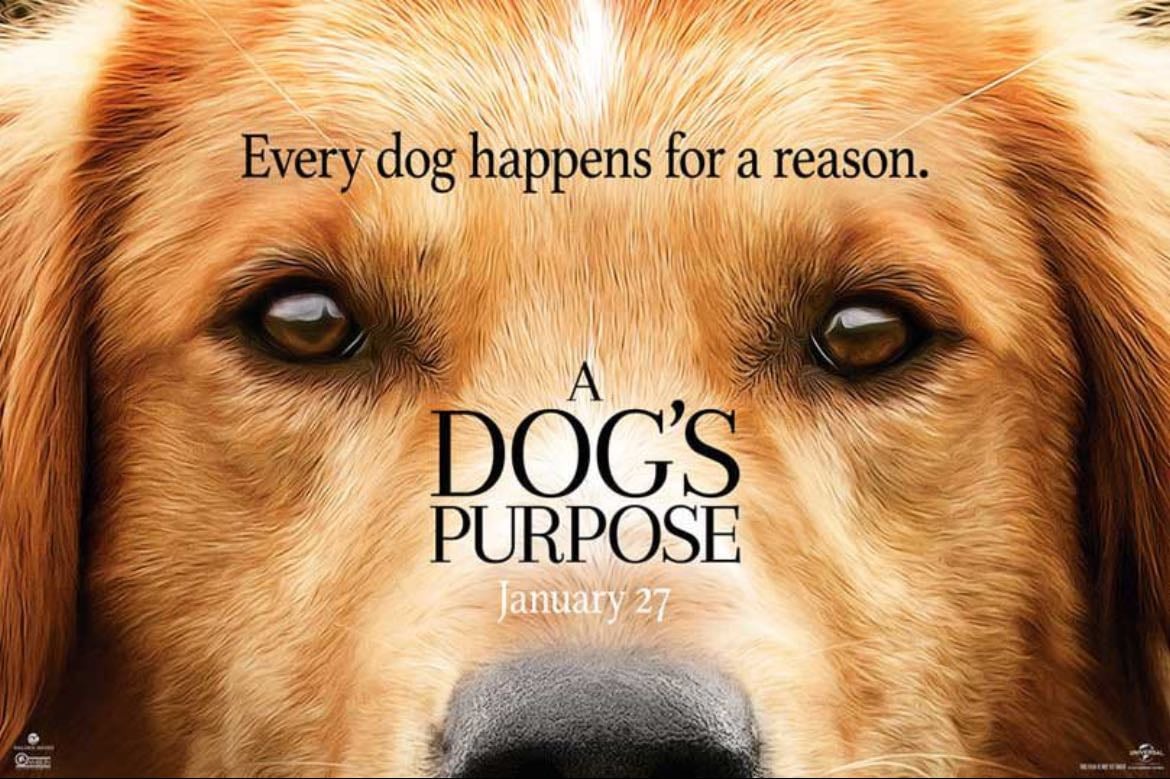 a dogs purpose - w. bruce cameron