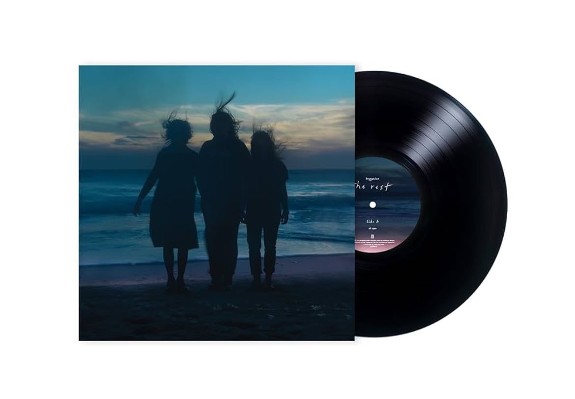 vinyls - i need voyager