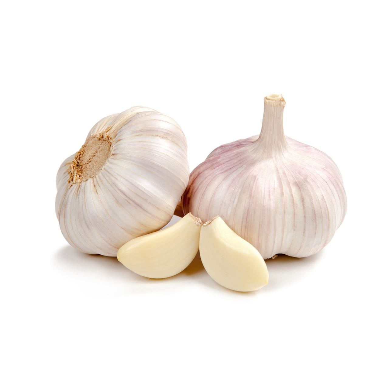 garlic