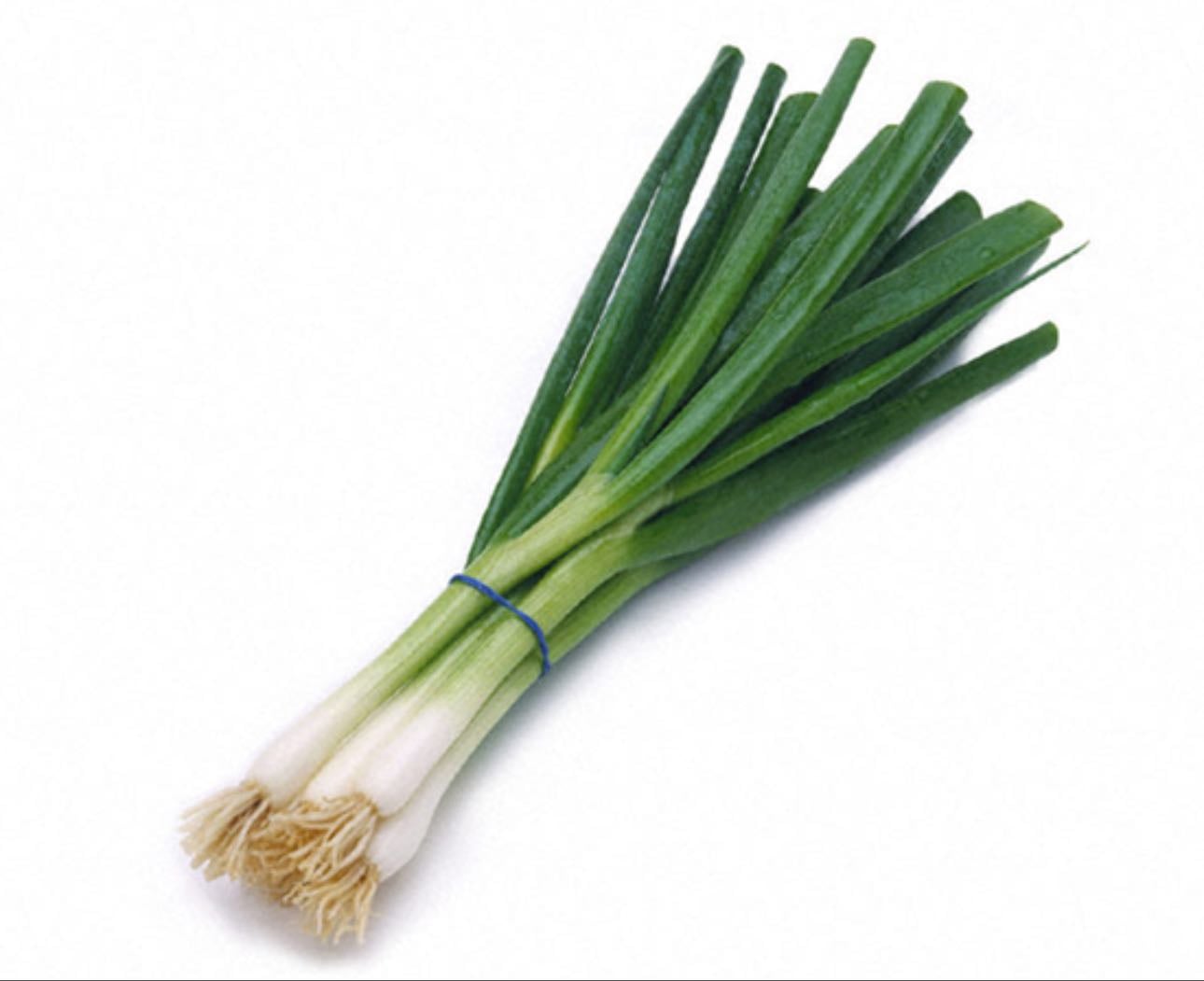 scallion