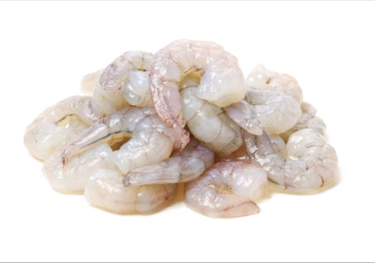 shrimp