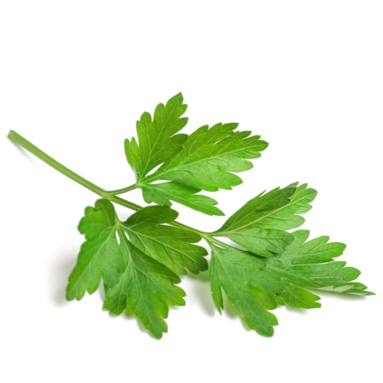 parsley