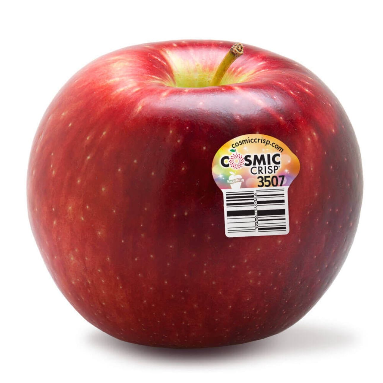 apples - cosmic crisp