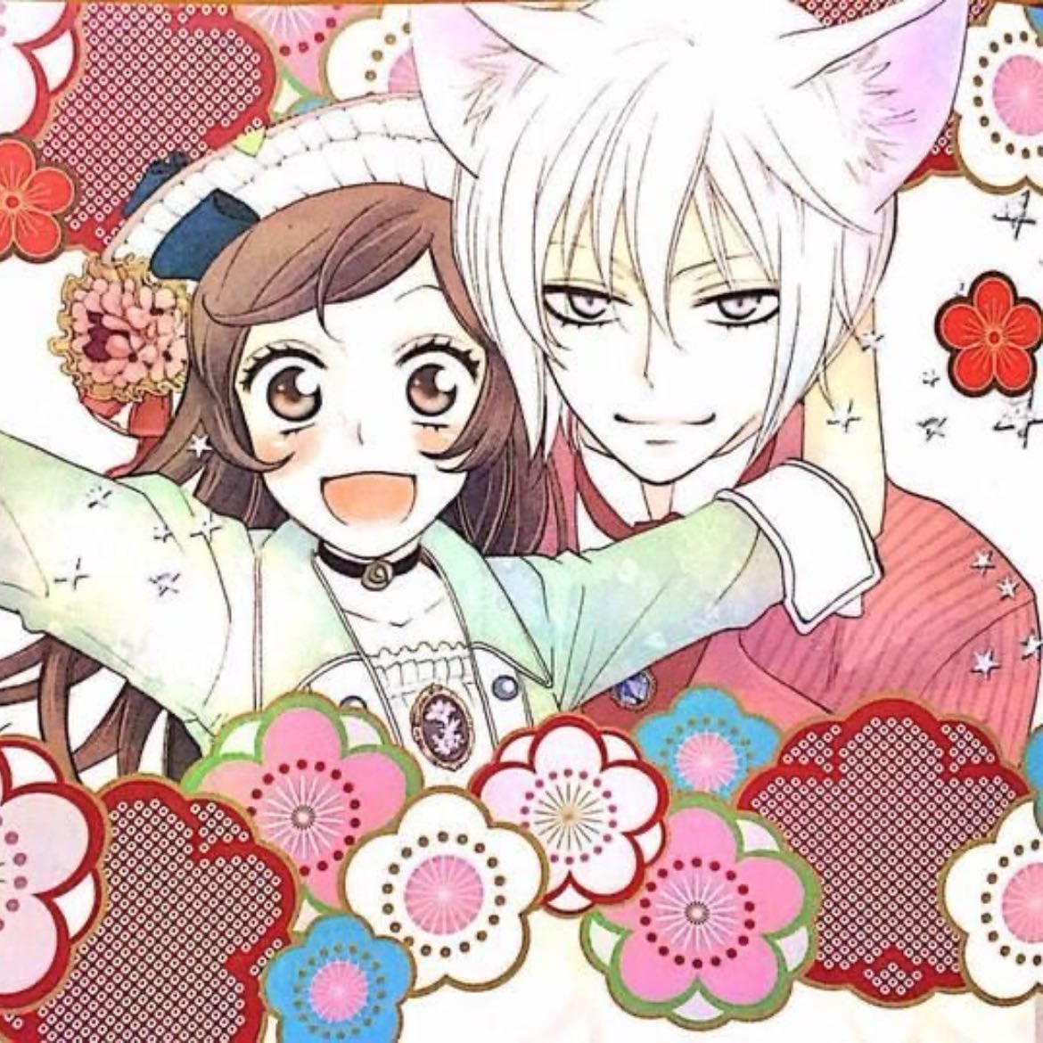 Kamisama kiss - 25eps