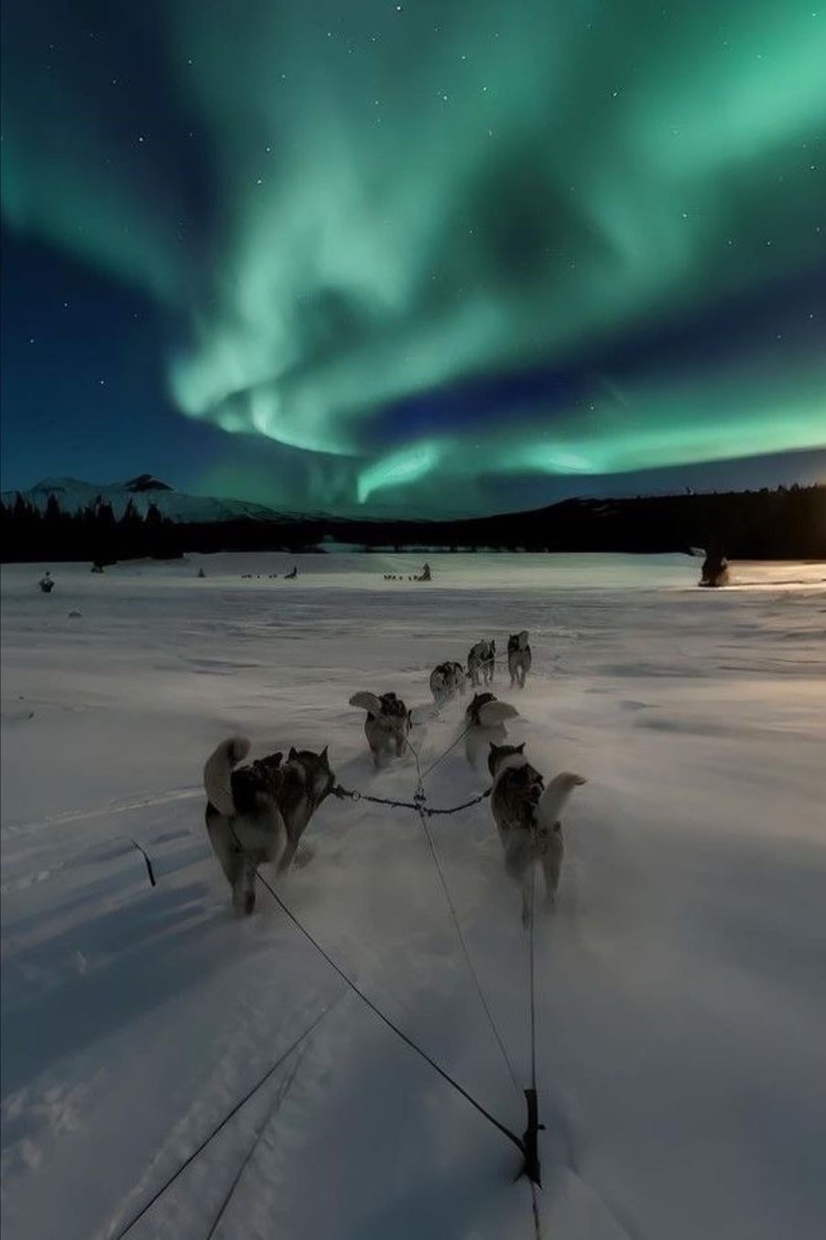Auroras boreales