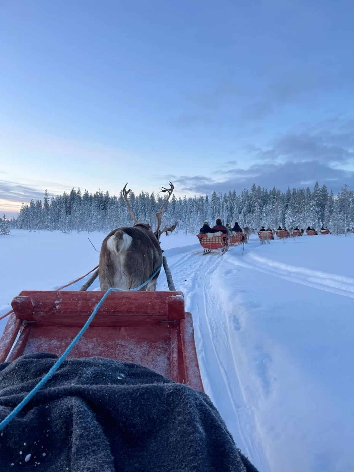 Reindeer sleigh