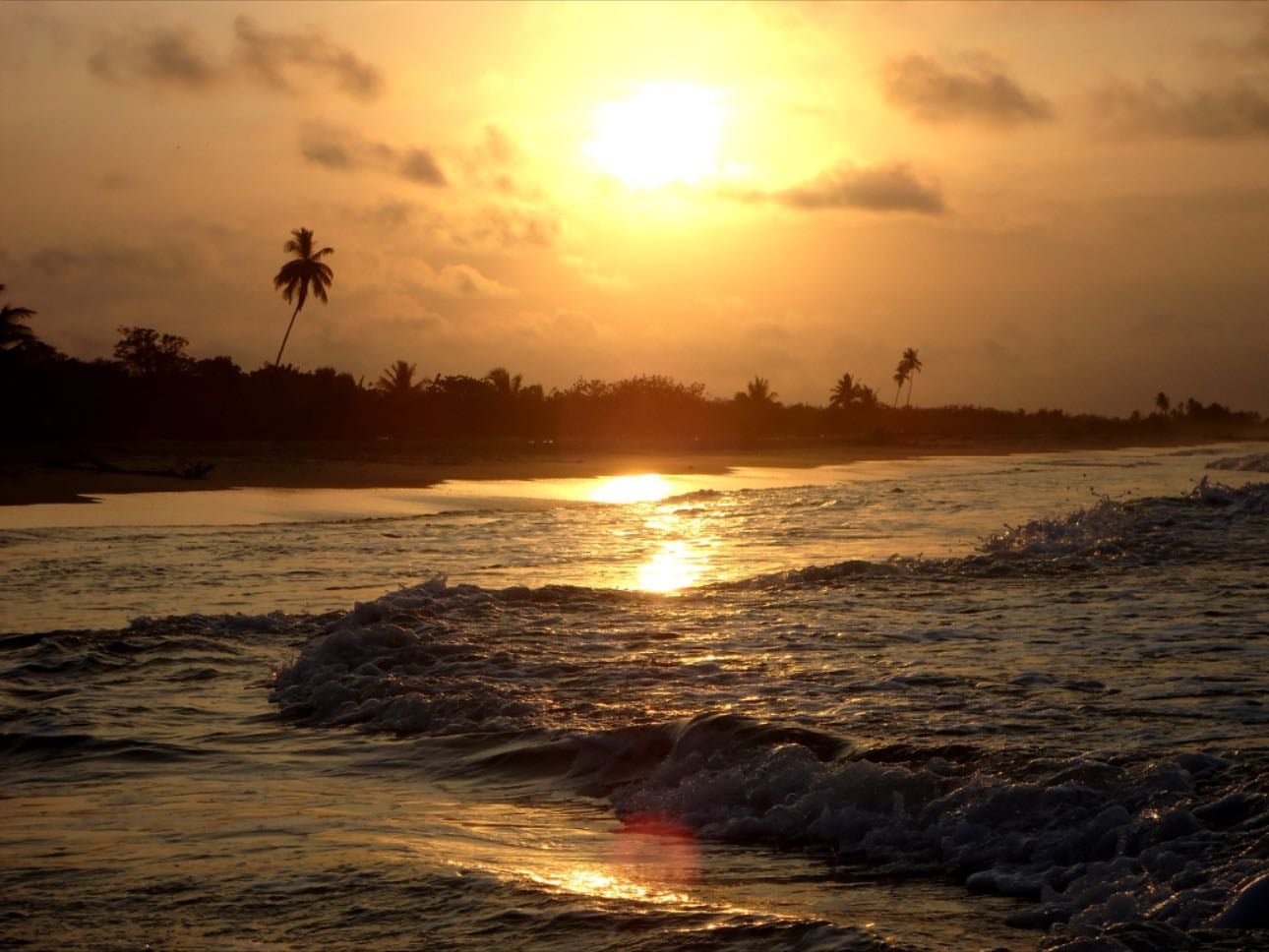 Goodbye, lovely sun - Oriente