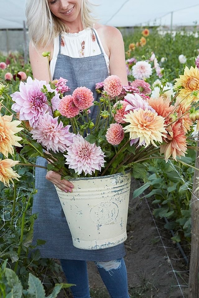 Adene's Farm Flowers