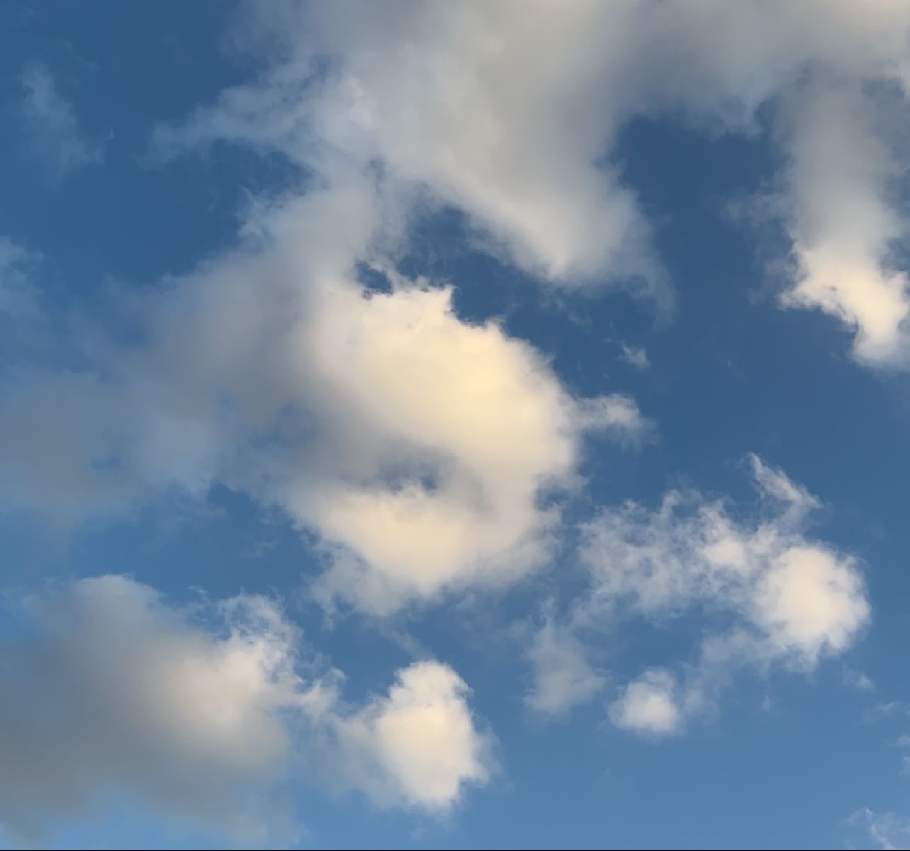 Book wishlist 📚☕️ - Books hypelist by Purple Magnet