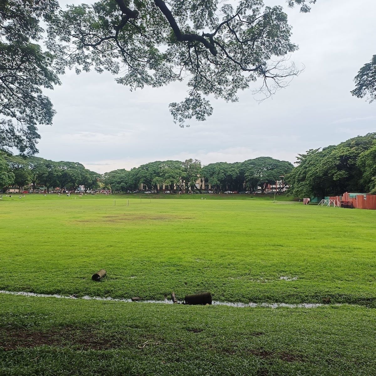 UP Sunken Garden