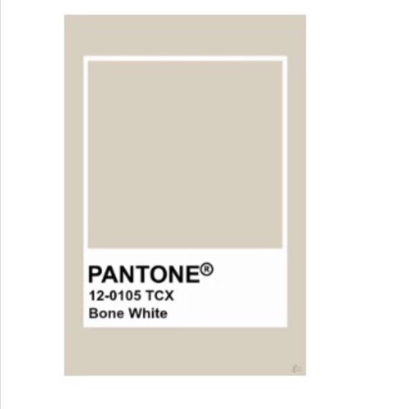 pintura blanco hueso