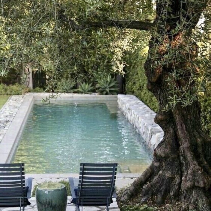 a pool - maybe a natural pool