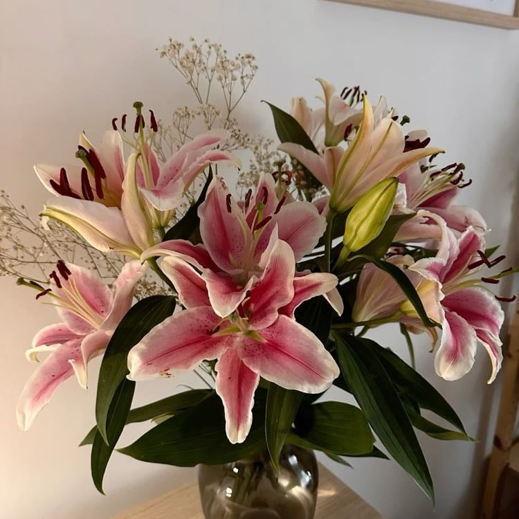 oriental lilies