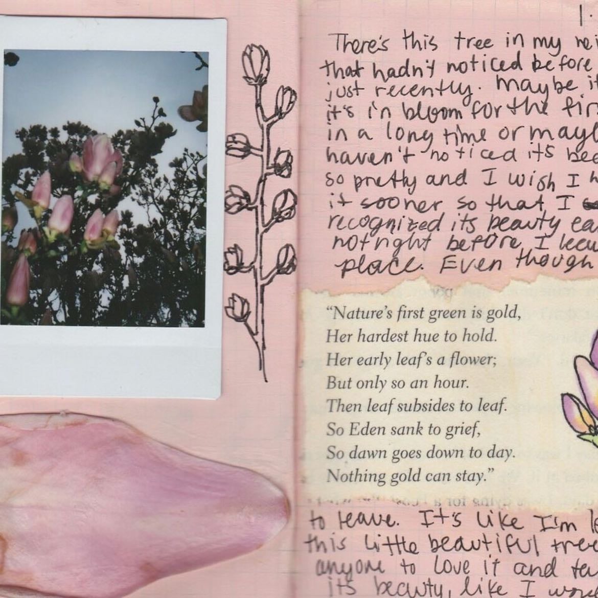 journal daily, document my year