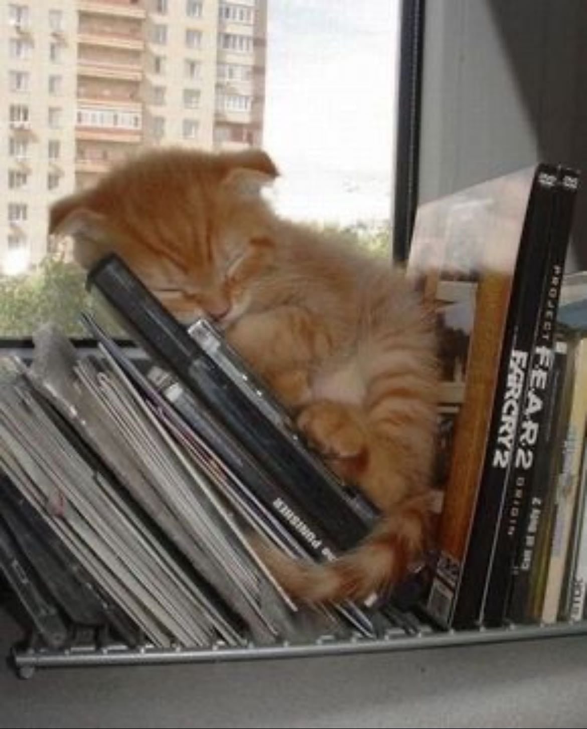 physical media - magazines, cds, dvds, books