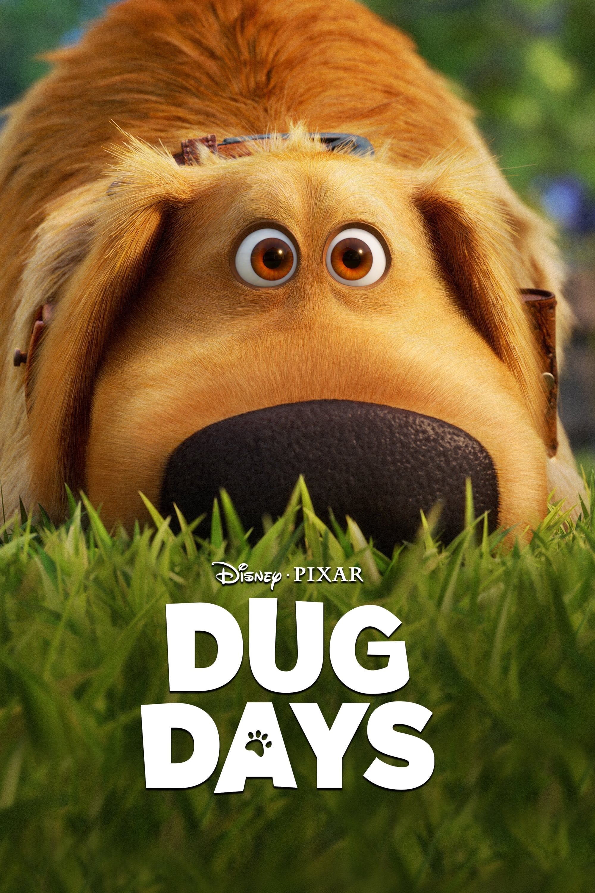 Dug Days - Bob Peterson, Pete Docter · 2021