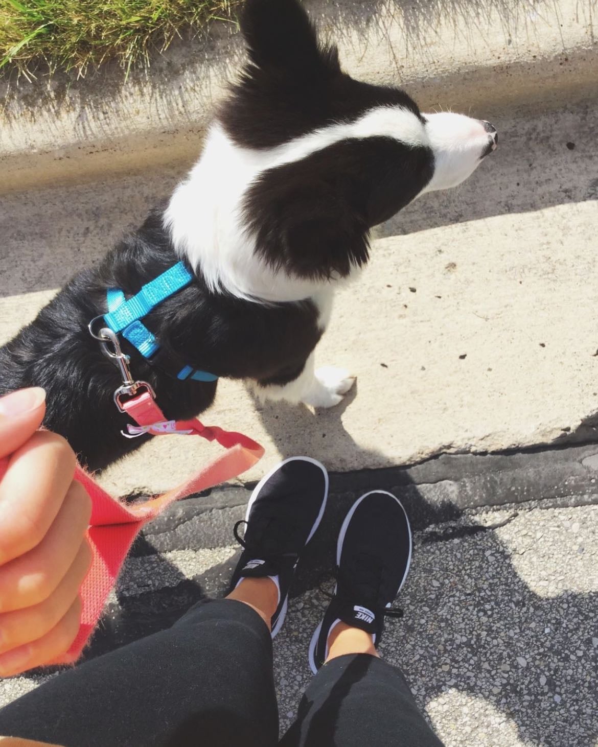 50k steps in a day