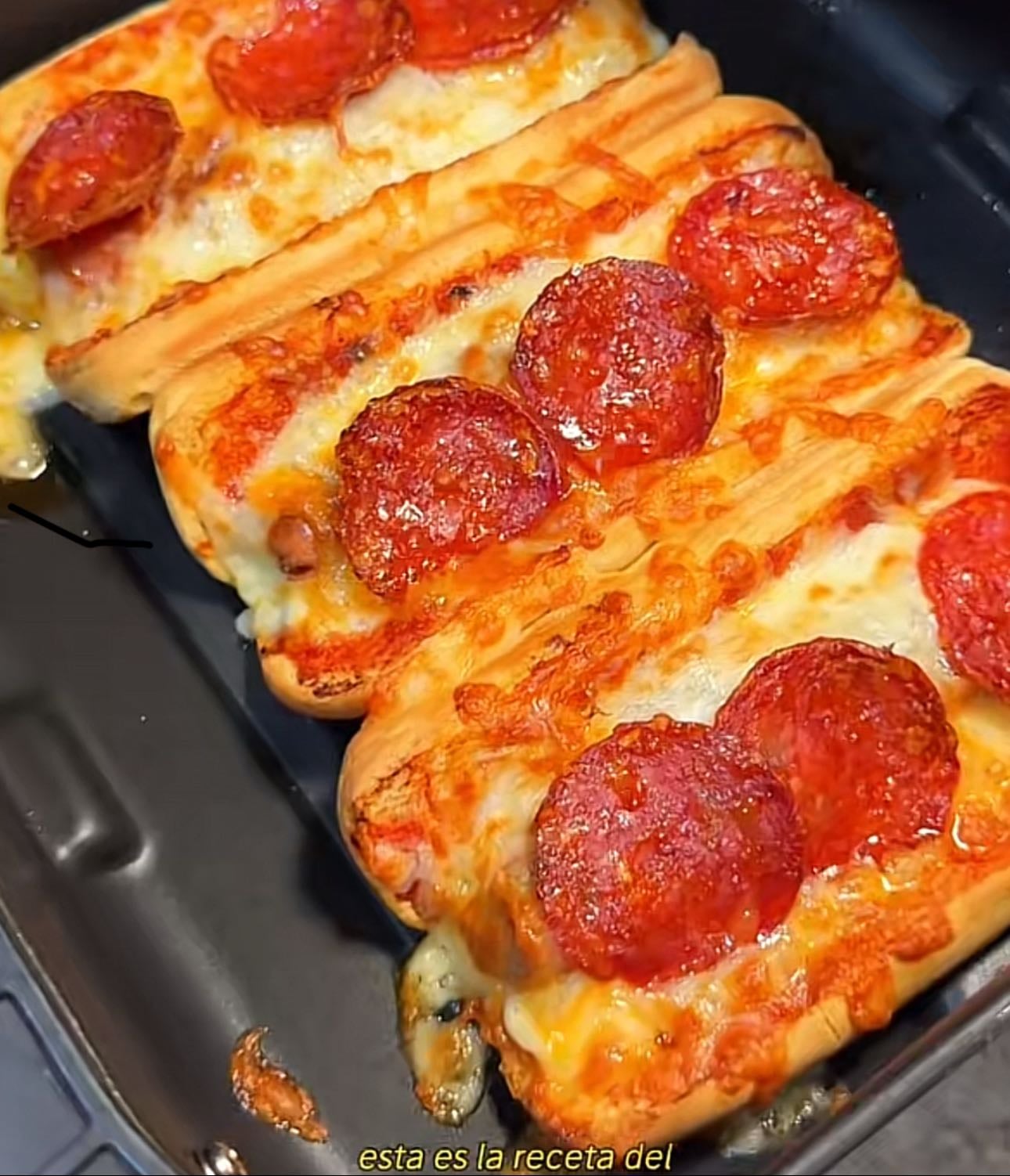 pizza dog 🍕🌭