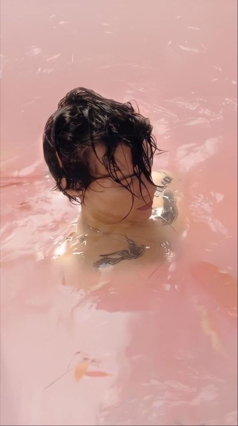 Harryโs concert - Idk when heโs going on tour since heโs been MIA since like 2022โฆ.but whenever he comes back I wanna go and see him ๐
