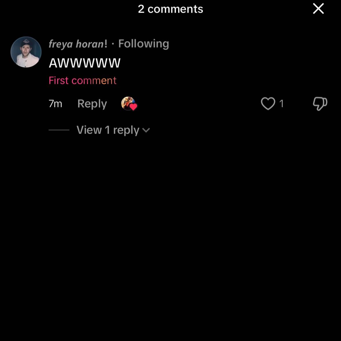 COMMENTING ON MY VID??