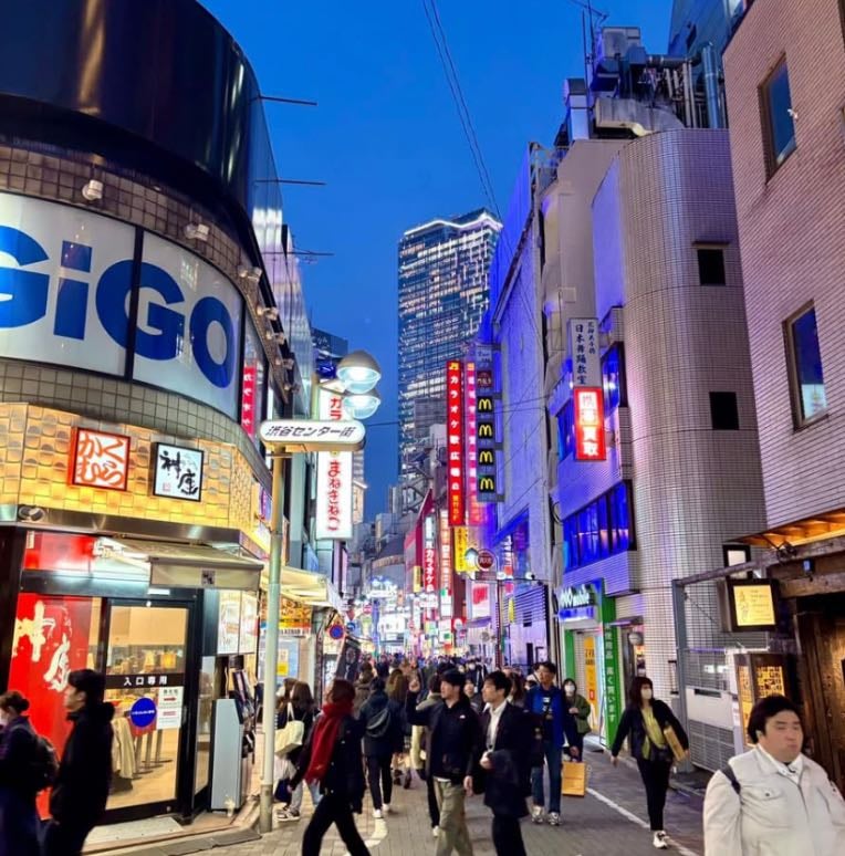 Japan dos and donts