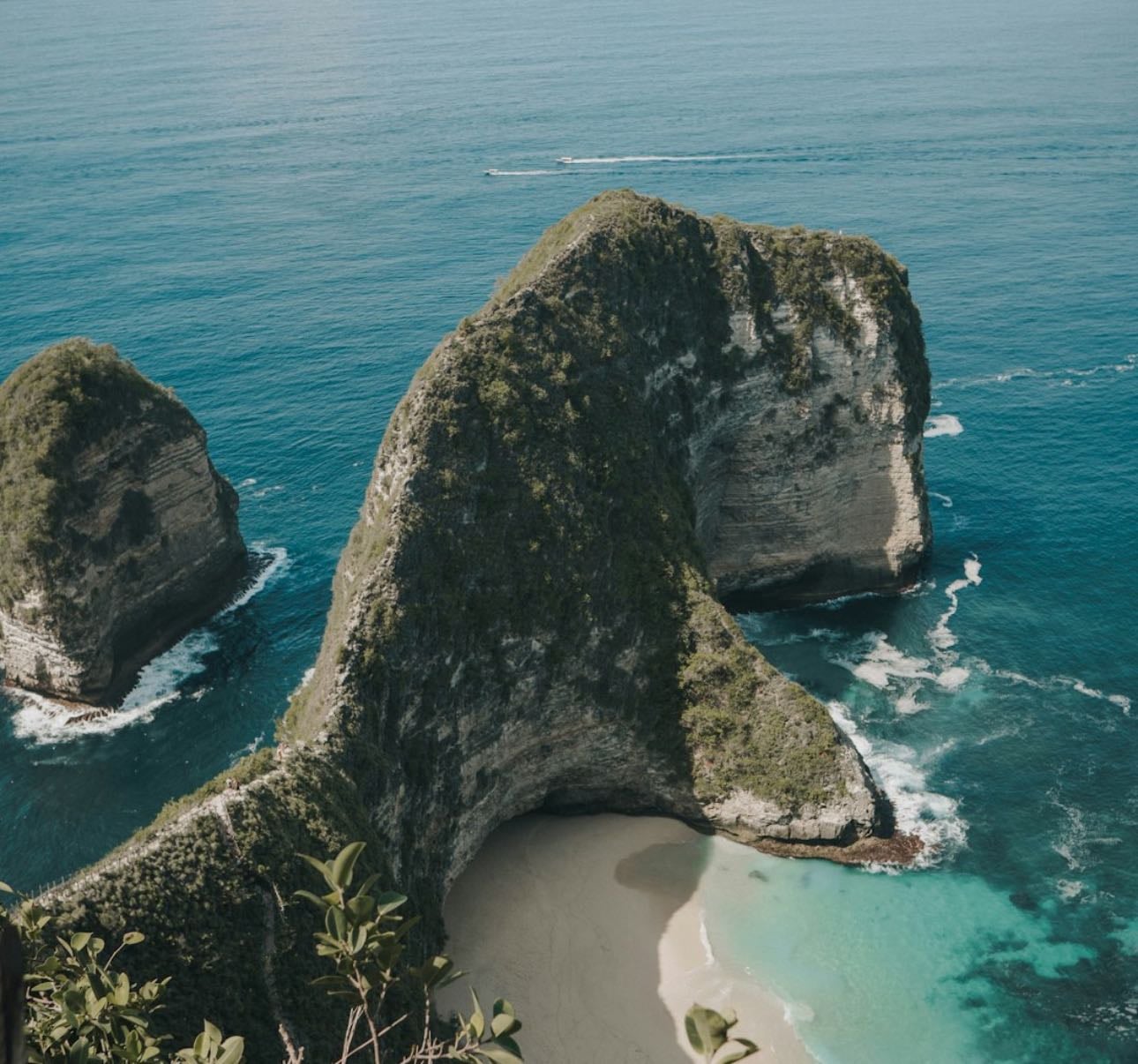 Bali 👌🏻🦈